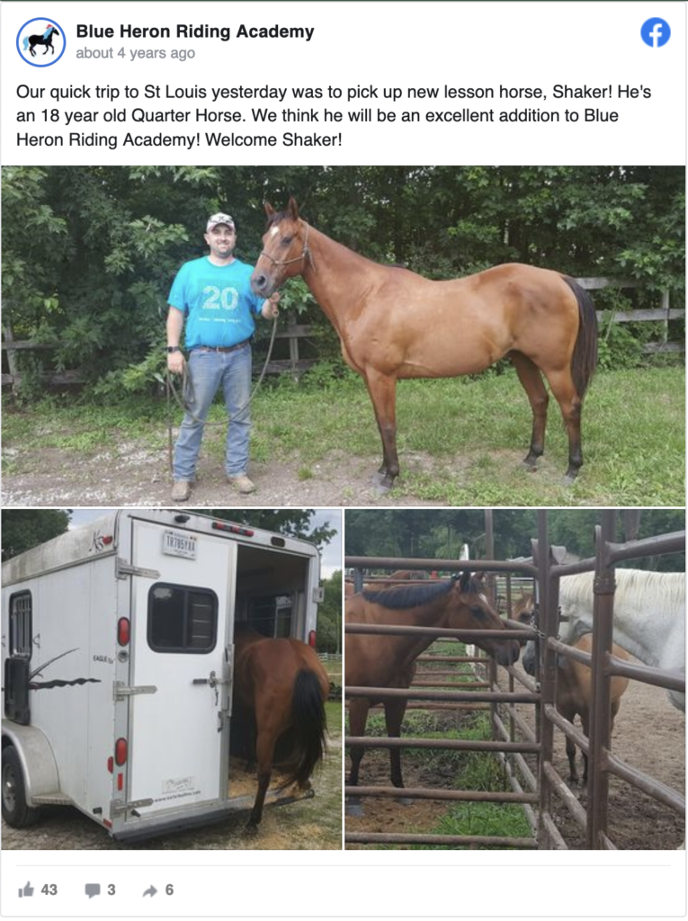 Blue Heron Riding Academy
about 4 years ago

Our quick trip to St Louis yesterday was to pick up new lesson horse, Shaker! He's an 18 year old Quarter Horse. We think he will be an excellent addition to Blue Heron Riding Academy! Welcome Shaker!