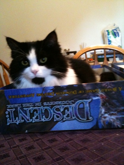 Descent kitty will get you